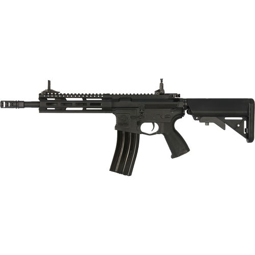 G&G CM16 Raider 2.0 EGC-16P-R20-BNB-NCM