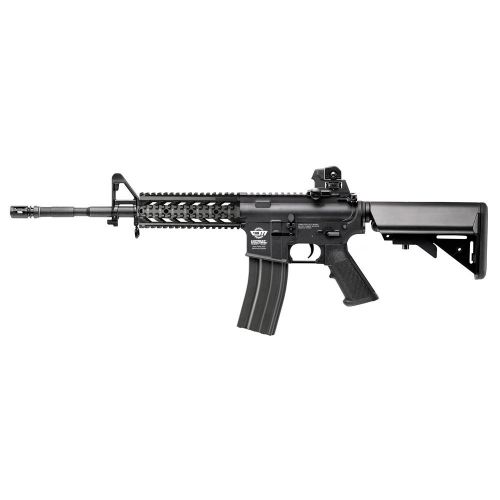 G&G CM16 Raider-L EGC-16P-RDL-BNB-NCM
